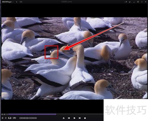 kmplayer������ر߿�