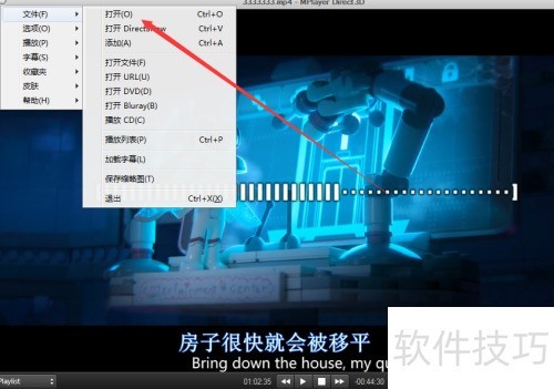 �������mplayer����Ļѡ�