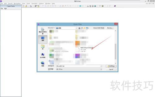 winhex�����̾���̳�