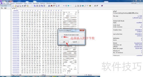 ���ʹ��winhex�޸������ͼƬ