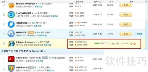 ie�������ô������