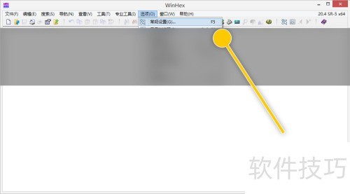WinHex�������ʮ������ƫ����