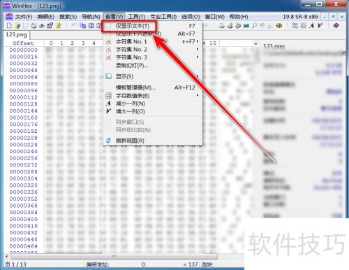 �����winhexֻ��ʾ�ı�