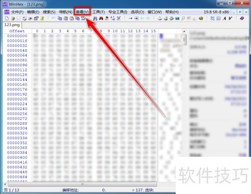 �����winhexֻ��ʾ�ı�