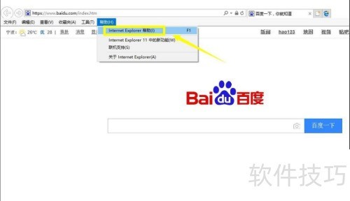 IE���������������