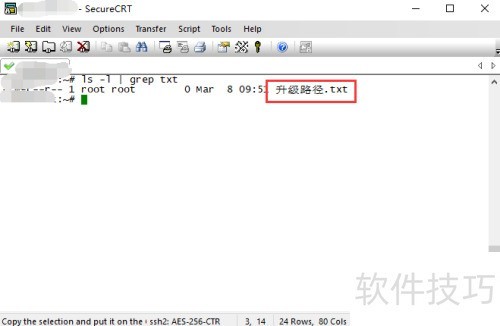 securecrt�����������