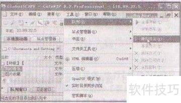 �ļ���CuteFTP pro�н�������������