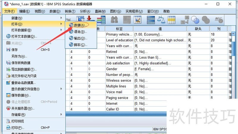 IBM SPSS StatisticsȡExcel