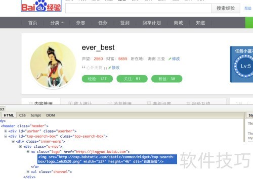 Safari�����Firebug
