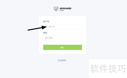Adguard Home�������DNS�����嵥