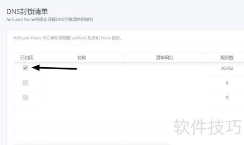 Adguard Home�������DNS�����嵥