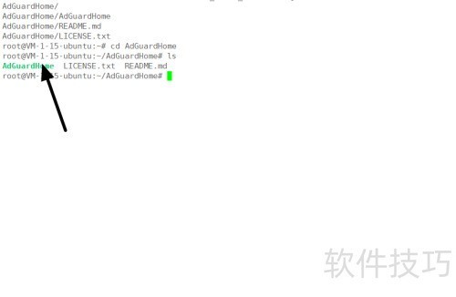 �Ʒ�������ΰ�װAdguard Home