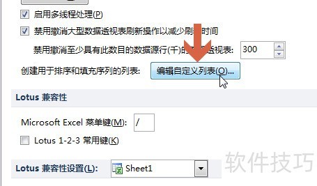 excel2010Զô