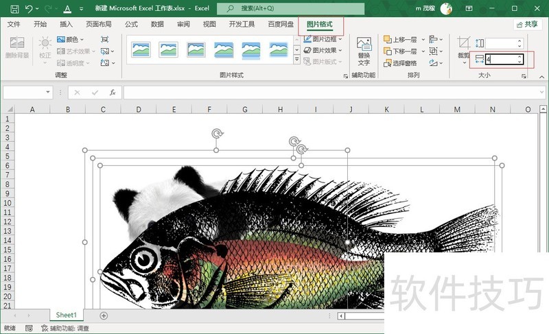 Excel2021ͼƬͼƬ