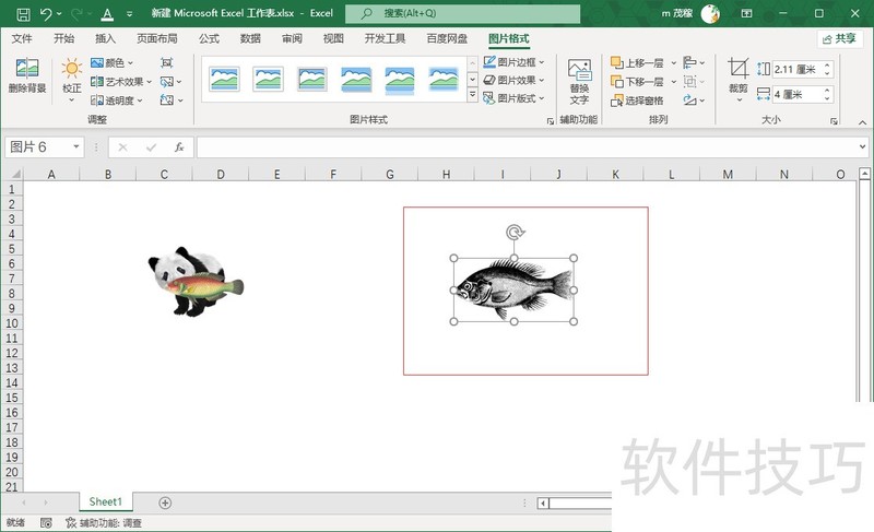 Excel2021ͼƬͼƬ