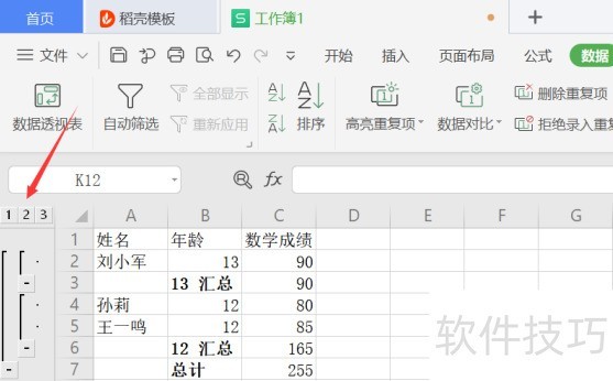 怎么查看Excel 中分类汇总数据后的明细数据