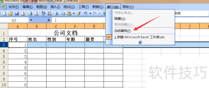 Excel2003ζкд񲻶