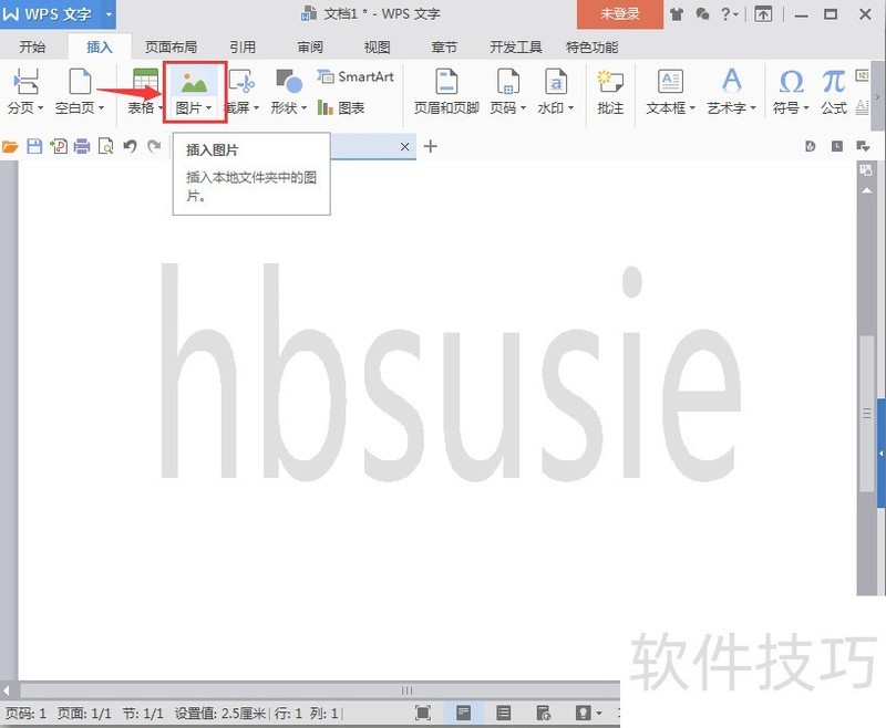 怎样在wps中插入图片