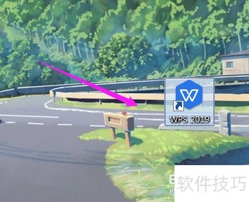 WPS 2019ôرϢ