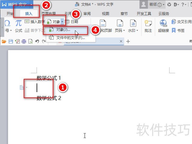 WPS/wordôѧʽ