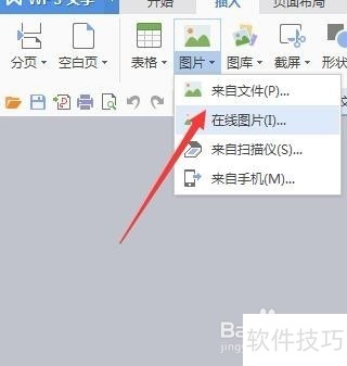 WPS怎么插入在线图片？