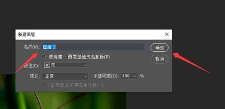 photoshop2020怎么新建图层-photoshop2020新建图层的具体操作 photoshop2020如何新建图层?