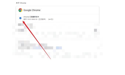 chrome浏览器怎么更新升级-chrome浏览器更新升级的方法