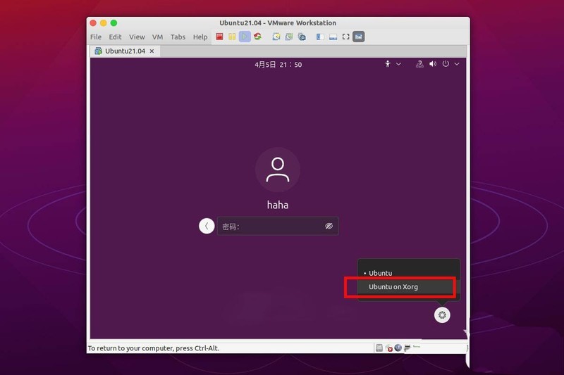 ubuntu21.04¼Ϊʲô޷ʹ-ubuntu¼ߵ÷