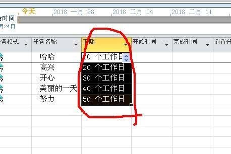 Project将工作日改成days的操作方法 s.jpg