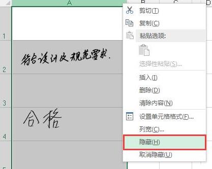 Excel设置图片和表格一起隐藏的操作流程 8.jpg