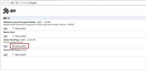 chrome�ȸ��������ο���flash�����