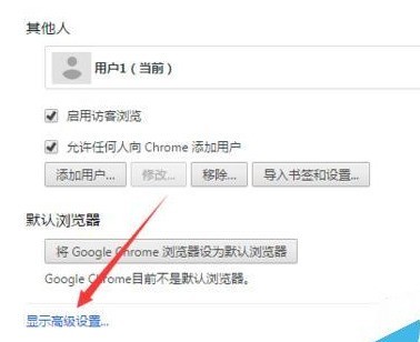 如何更改Google Chrome浏览器的显示语言？  第1张