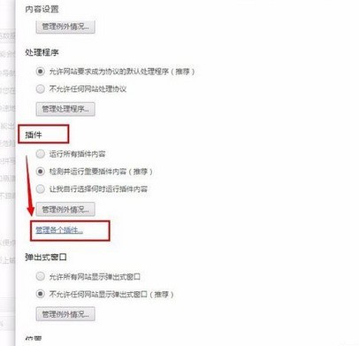 chrome�ȸ��������ο���flash�����