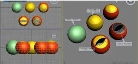 3dmax怎么制作花朵?3dmax制作花朵教程 截图