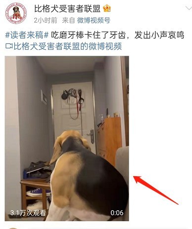 微博小视频清屏功能怎么开启?微博小视频清屏功能使用方法