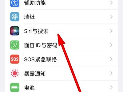 iphone13mini如何设置语音唤醒siri?iphone13mini开启siri语音唤醒方法 截图