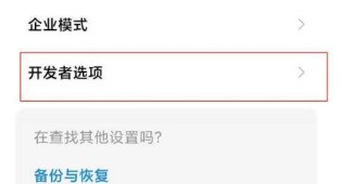 小米11怎样设置usb调试?小米11设置usb调试的方法 截图