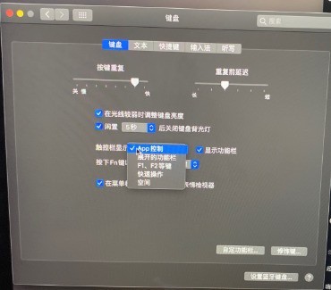 macbookpro怎么显示歌词在键盘 macbookpro显示歌词在键盘上的设置方法