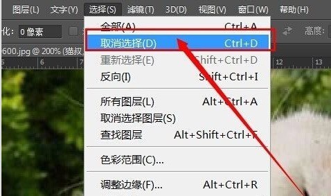 ��ͼ