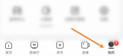 西瓜视频弹幕怎么开启 西瓜视频弹幕开启方法 截图