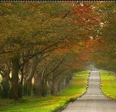 PS反选选区操作方法 截图