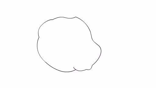 Flash设计卡通小狗图形的操作流程 截图