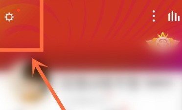 全民K歌关闭手机型号的显示的具体方法 截图