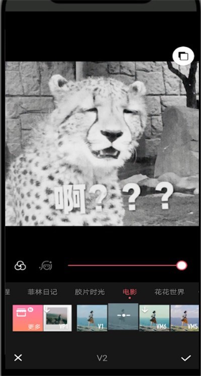 美图秀秀中黑白滤镜的方法步骤 截图
