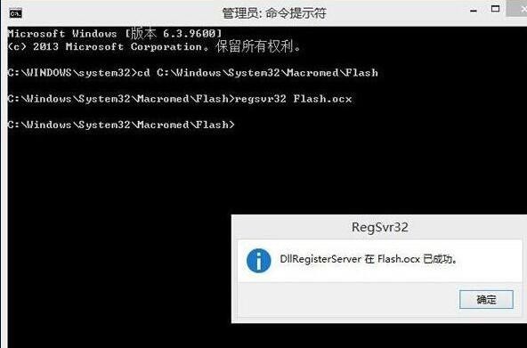 WIN8出现flash插件加载失败的处理操作步骤 截图