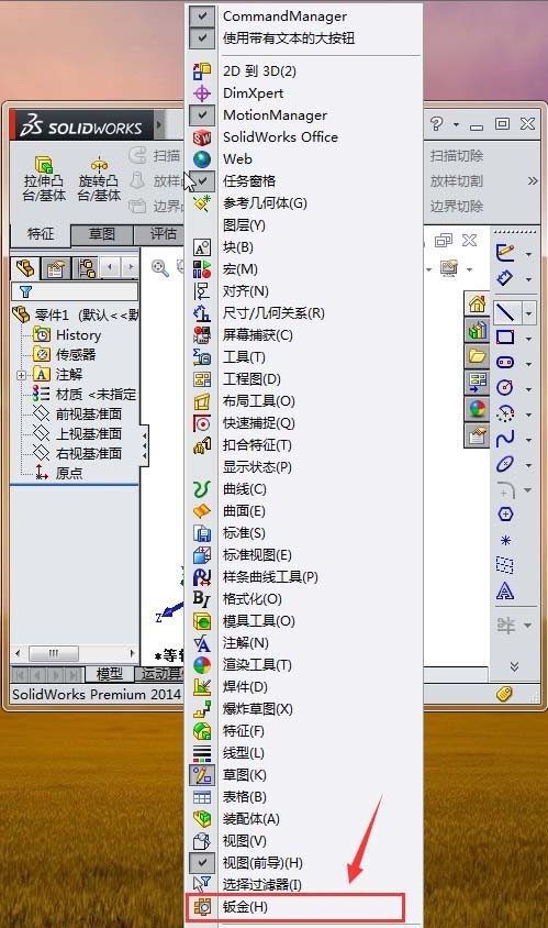 Solidworksӽչľ巽