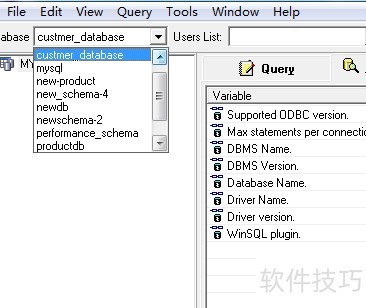 WinSQL查看数据库表数据
