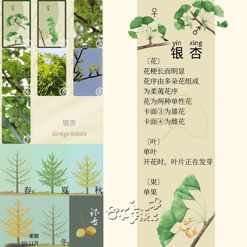 老农种树四季树种答案大全_游戏单机游戏-中关村在线