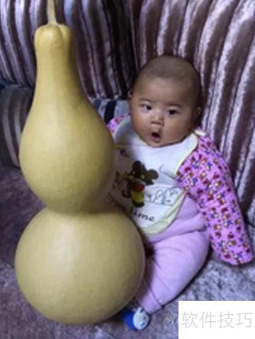 ChMkLWkTH-CIS-unAACdGlwE_RAAAGRsgIZA7AAAJ0y313.jpg