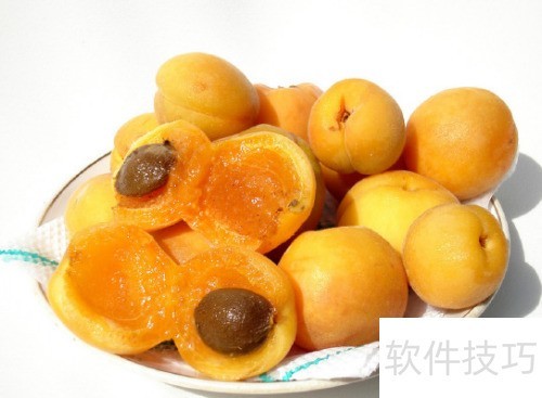 杏的营养价值与健康功效_软件资讯技巧应用-中关村在线